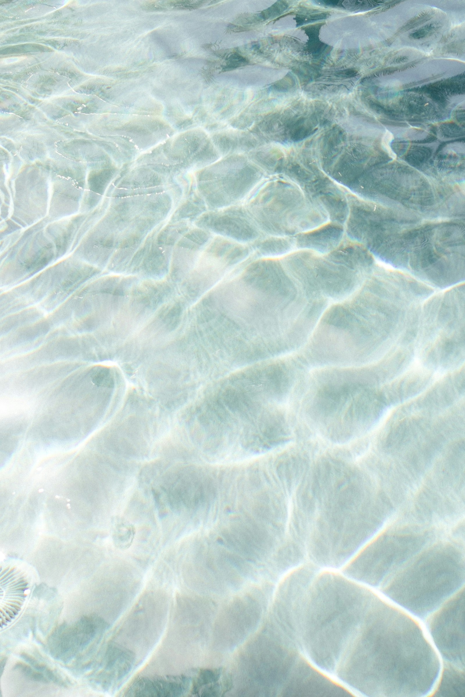 Sunlight reflected on water
